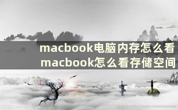 macbook电脑内存怎么看 macbook怎么看存储空间